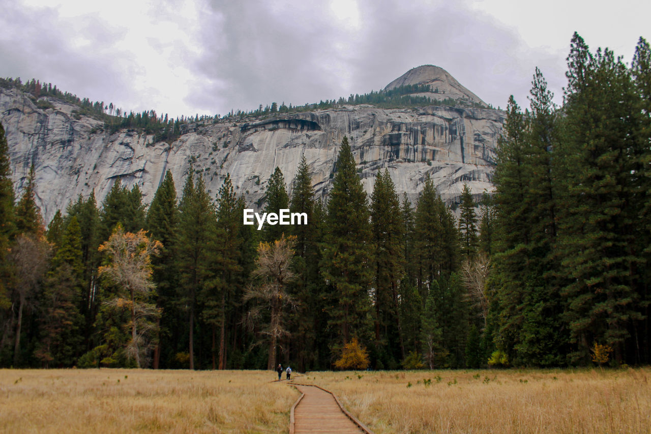 Boardwalk amidst field leading towards trees and majestic mountain