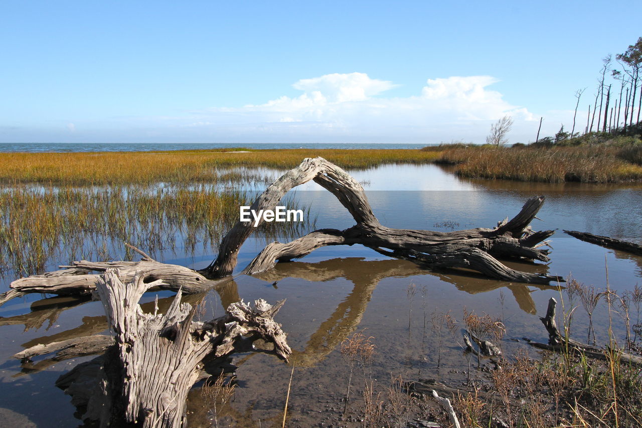 SCENIC VIEW OF LAKE