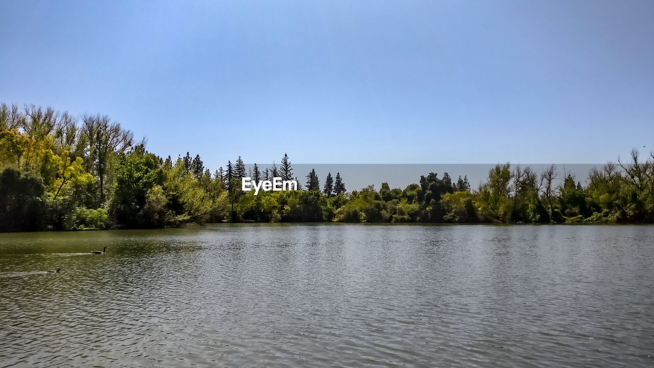 IDYLLIC VIEW OF LAKE AGAINST CLEAR SKY