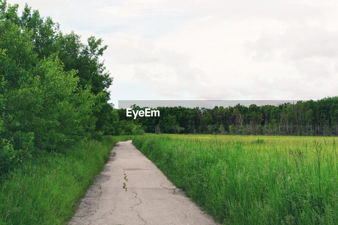 Footpath leading towards grassy field