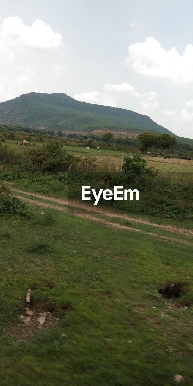 SCENIC VIEW OF FIELD AND MOUNTAINS AGAINST SKY