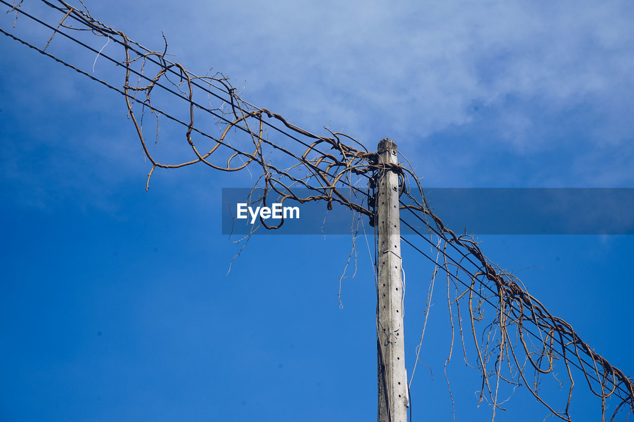 Low angle view of cables against blue sky