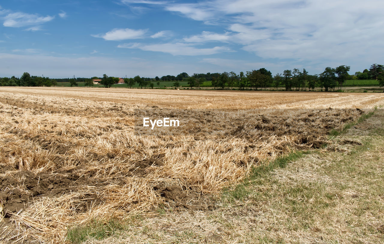 SCENIC VIEW OF AGRICULTURAL FIELD