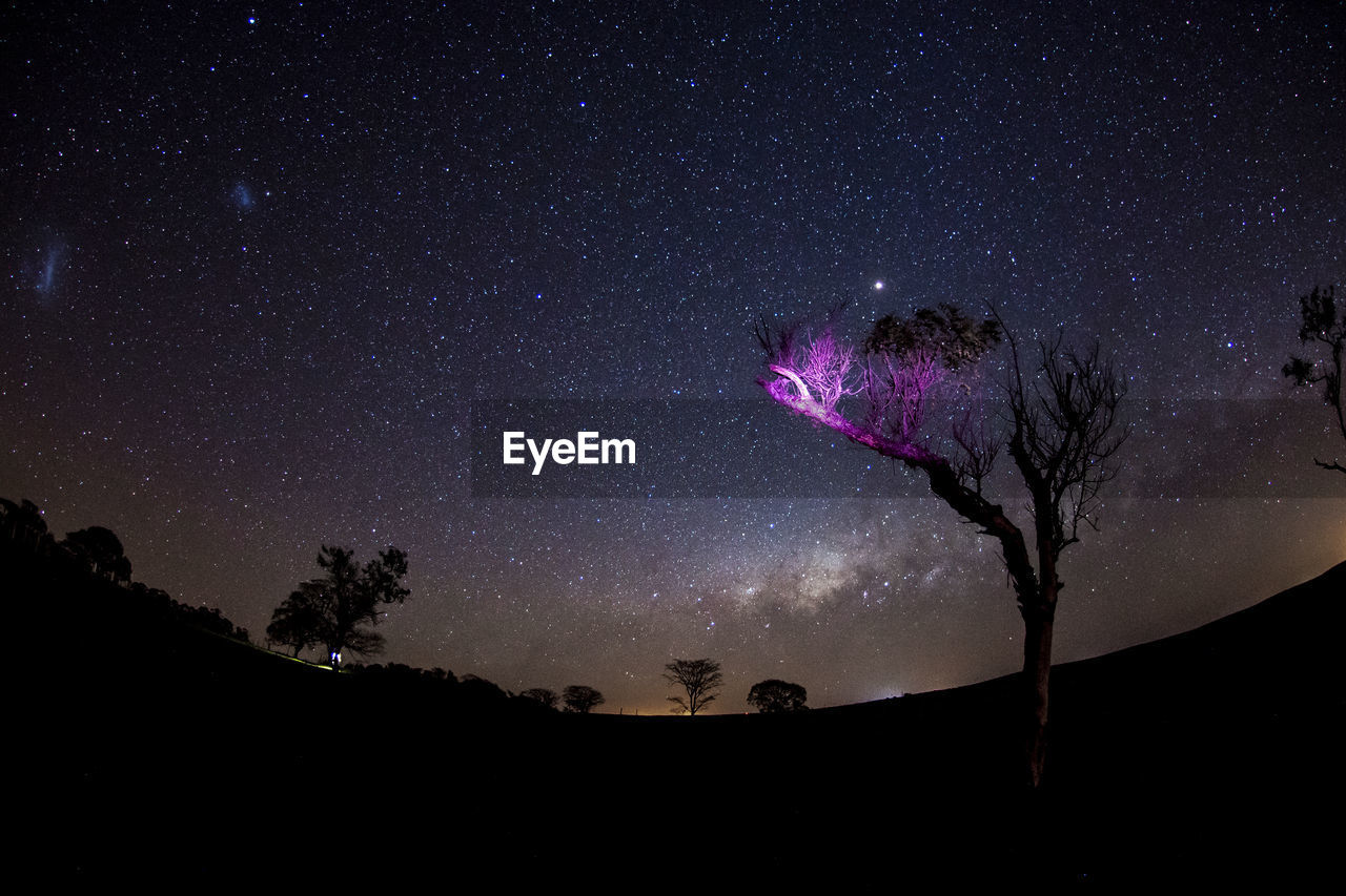 Low angle view of silhouette trees against sky at night