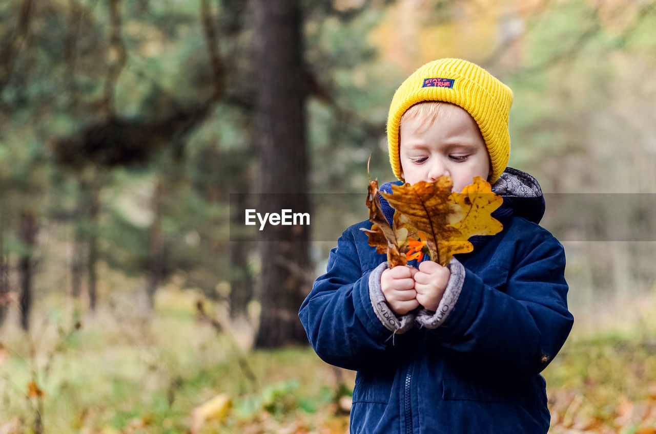 A little cheerful boy collects yellow leaves in the autumn forest.