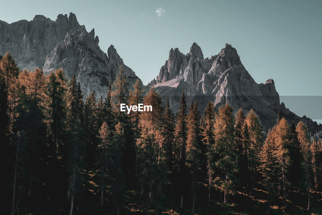 View of trees and mountains against sky