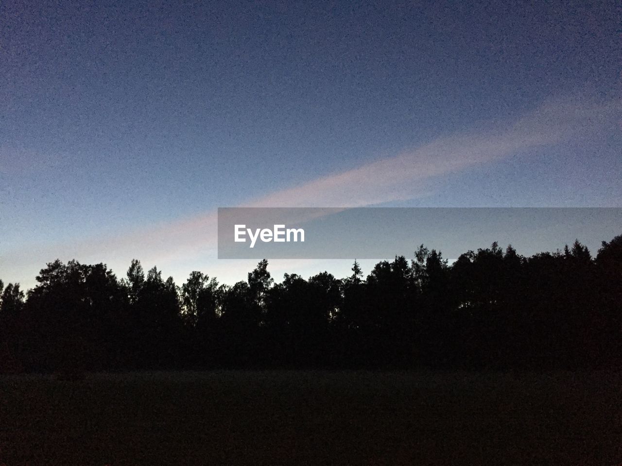 TREES ON FIELD AGAINST SKY