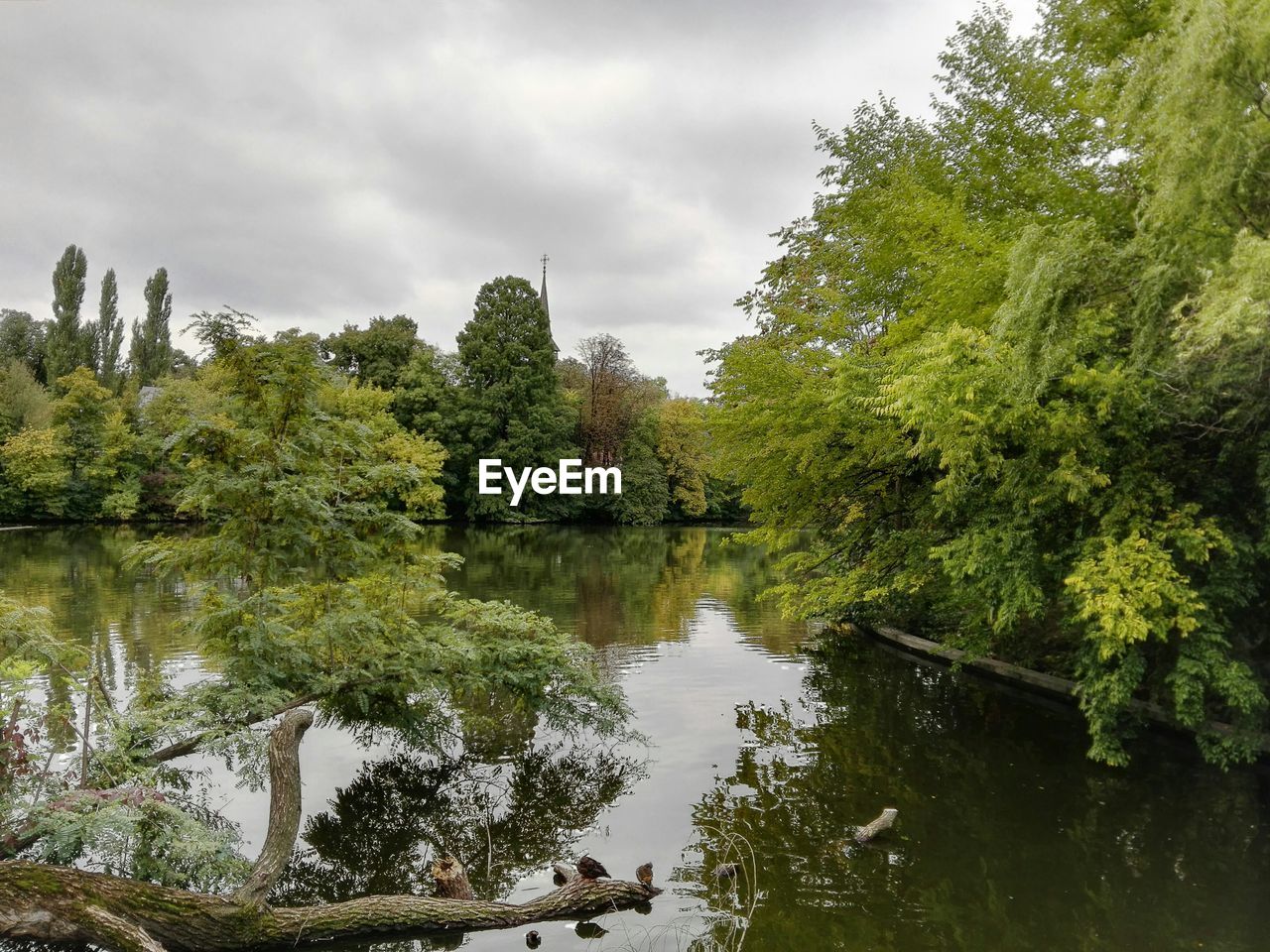 Lake by trees against sky