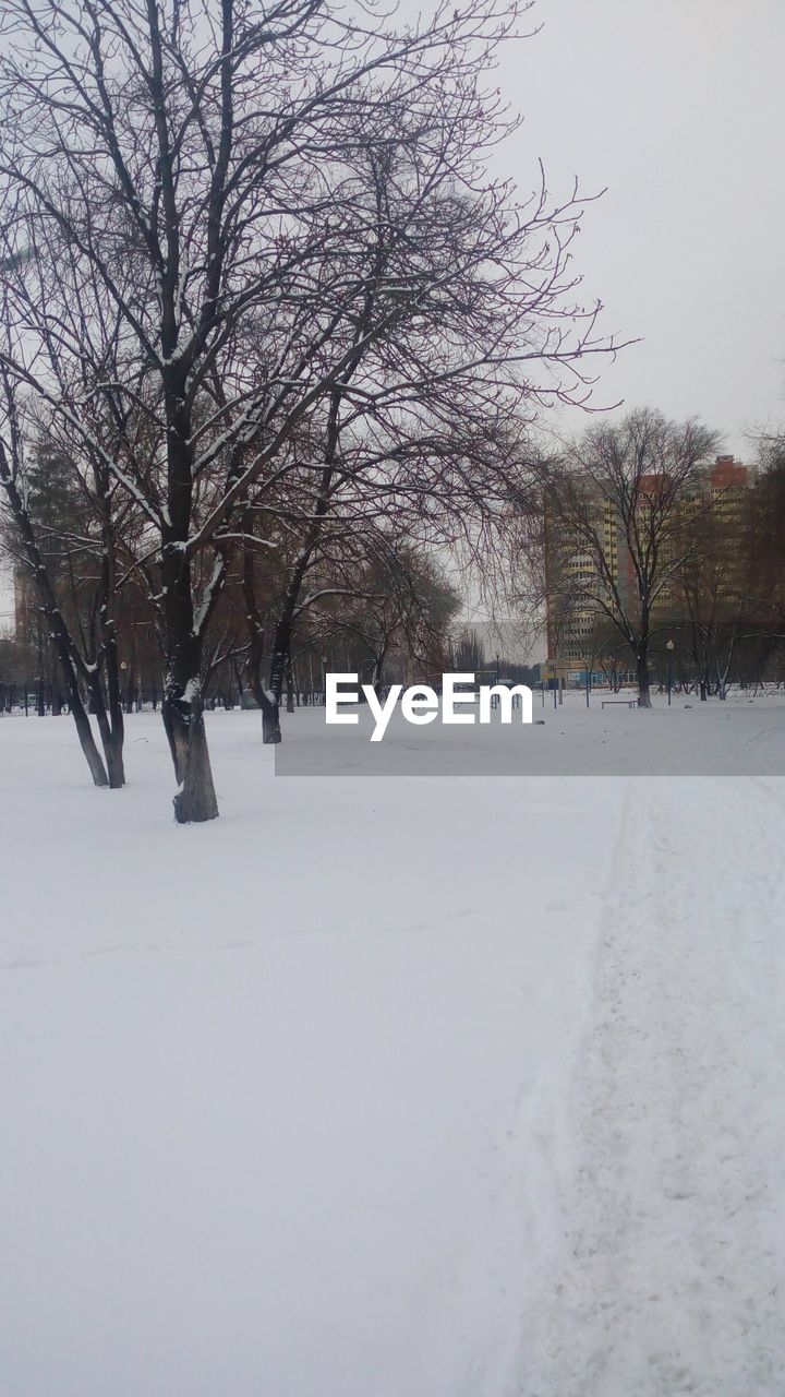 BARE TREES ON SNOW AGAINST SKY