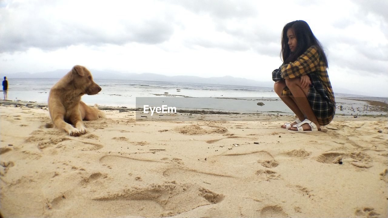Dog sitting on sand at beach against sky