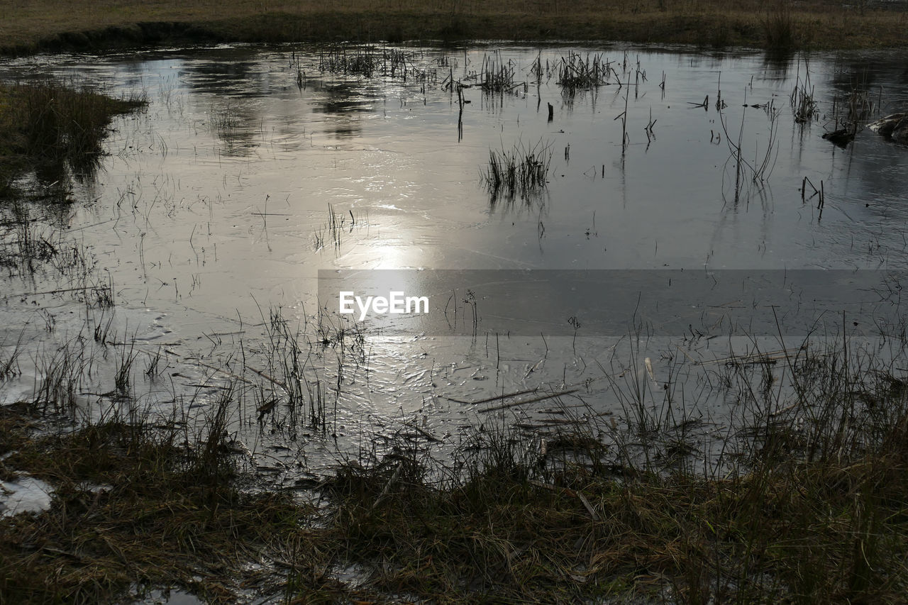 SCENIC VIEW OF LAKE WITH REFLECTION OF TREES IN WATER