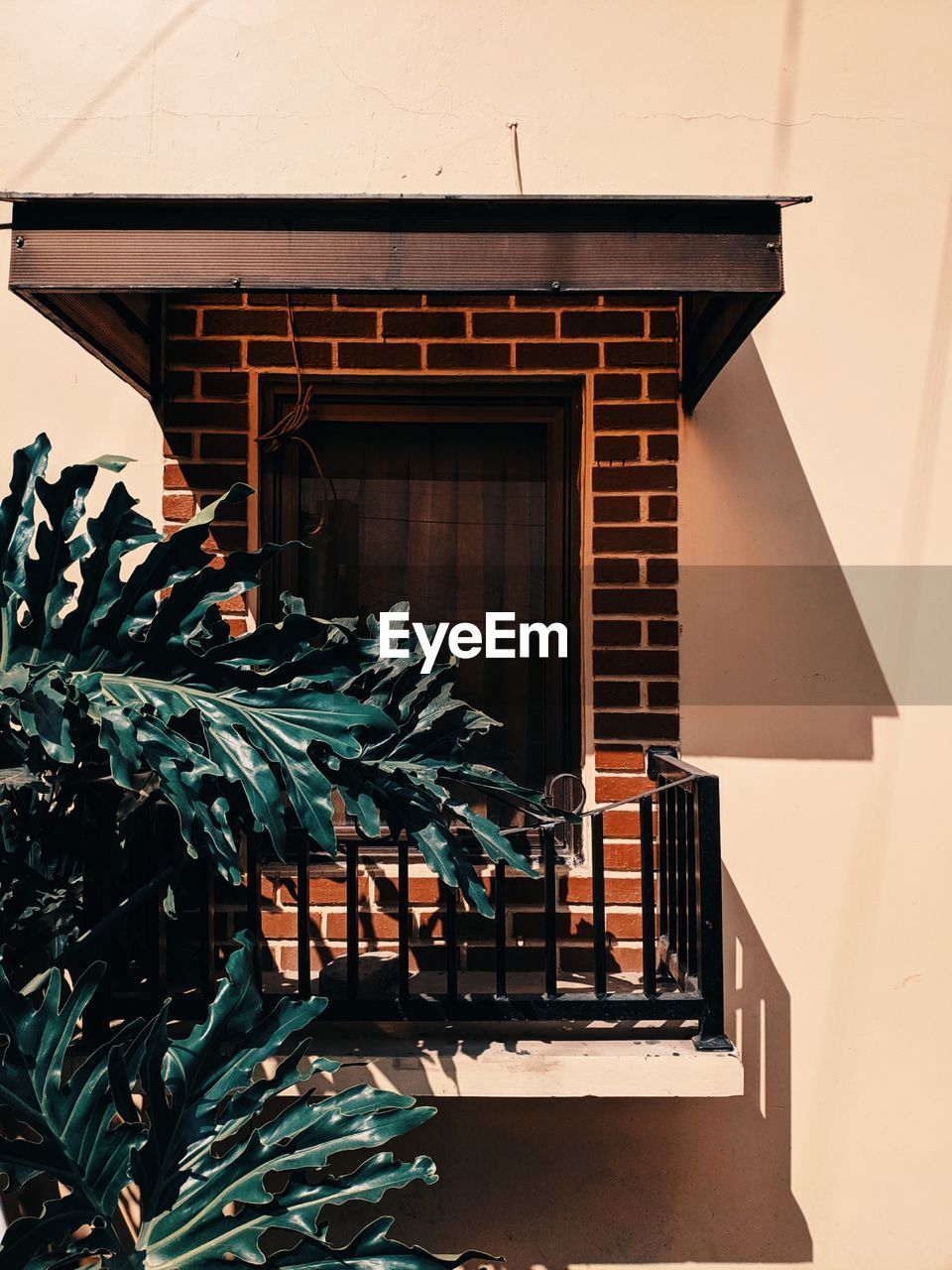 Potted plant on staircase of building