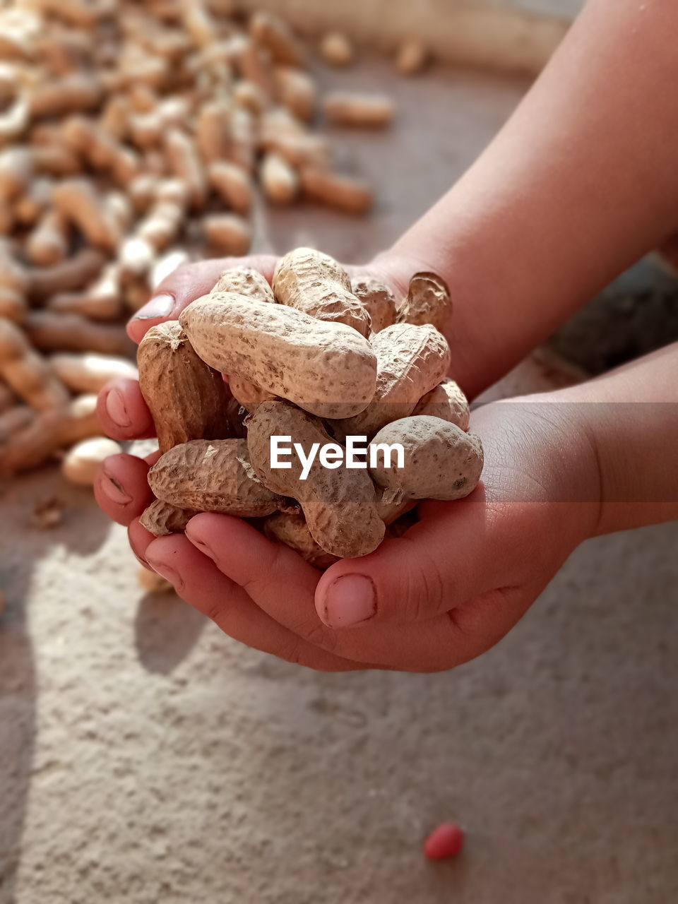 Close-up of hand holding cookies