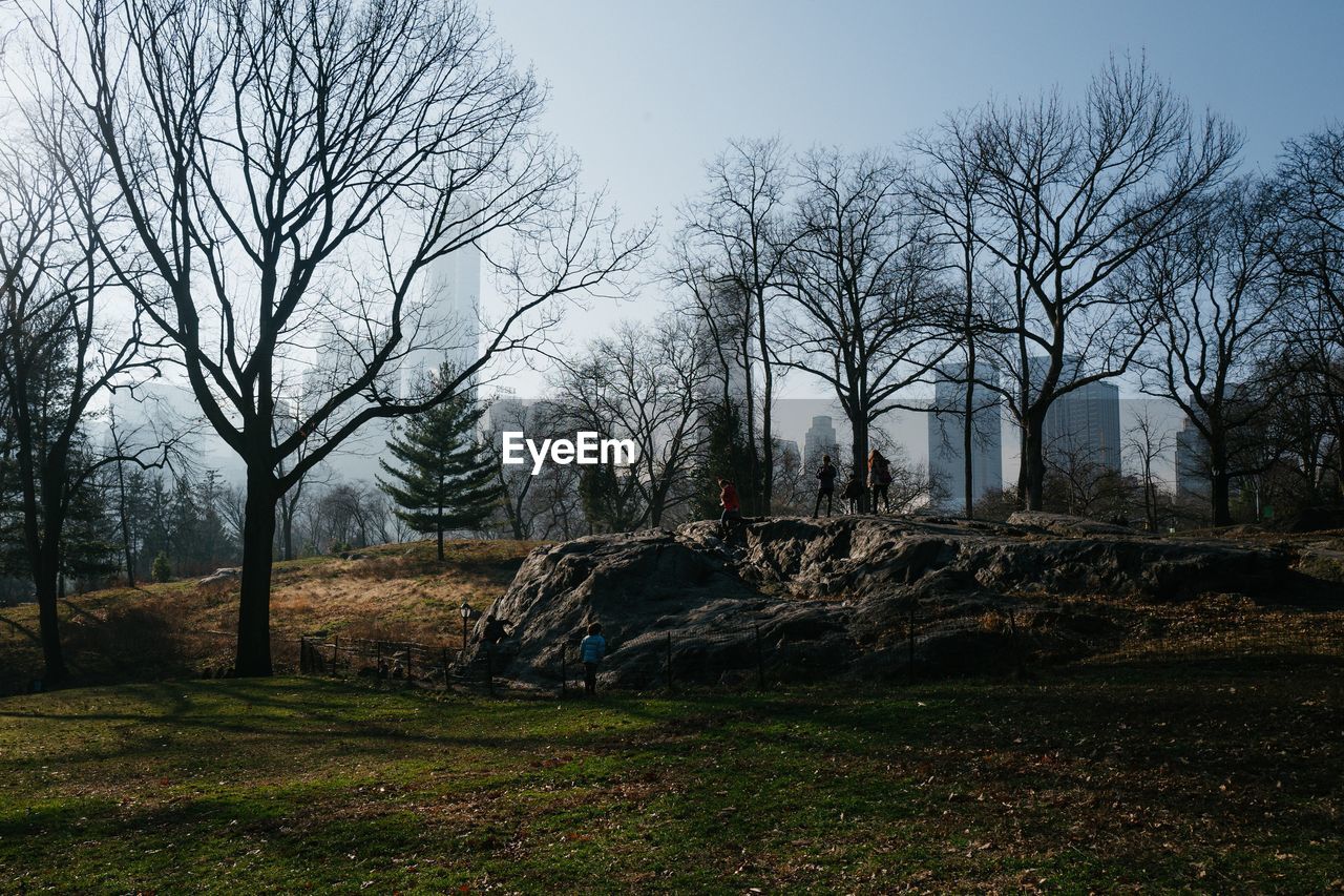 BARE TREES ON LANDSCAPE AGAINST SKY