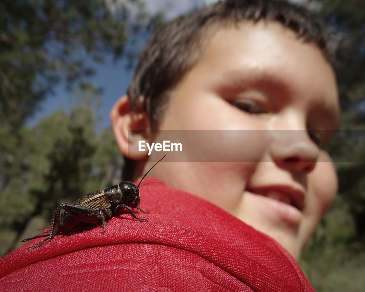 Close-up of boy with insect on shoulder
