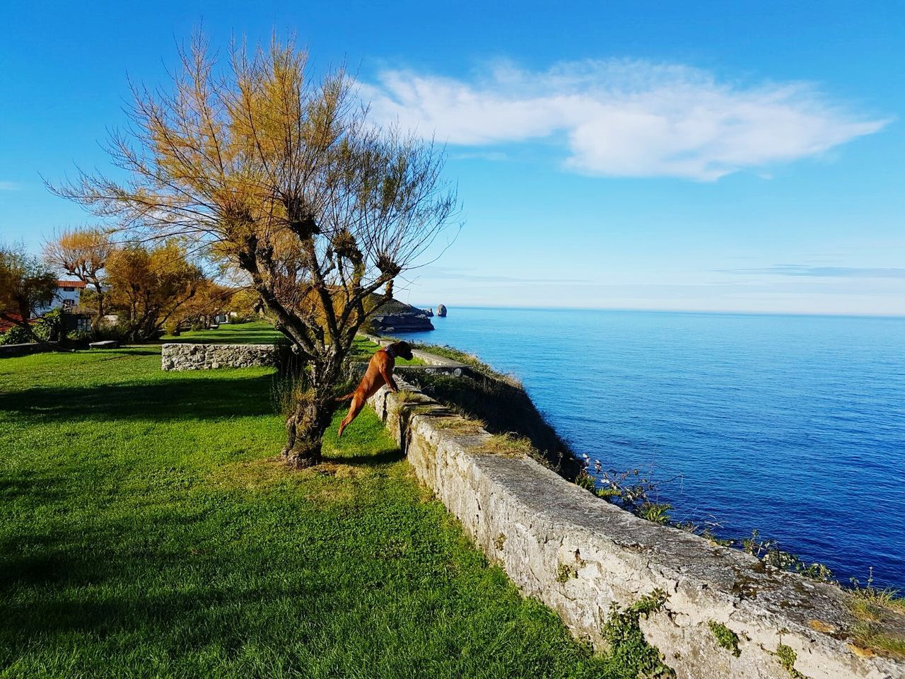 Scenic view of sea against blue sky