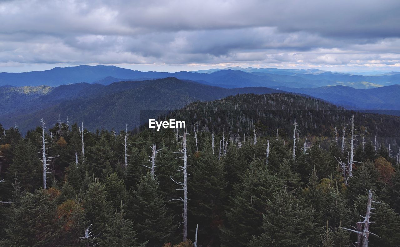 Aerial view of forest against mountain range and cloudy sky