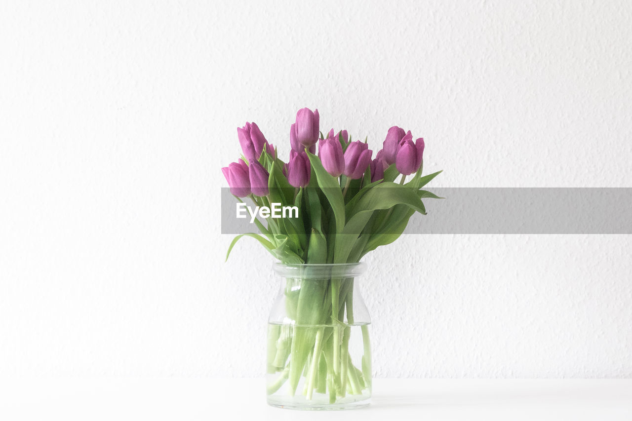 FLOWER VASE AGAINST WHITE BACKGROUND