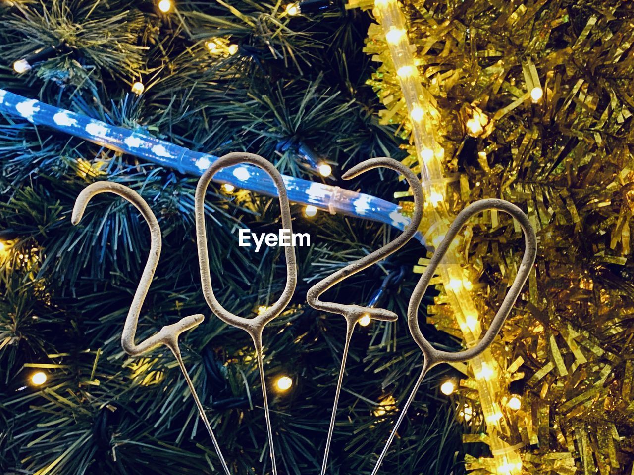 Close-up of illuminated christmas tree at night