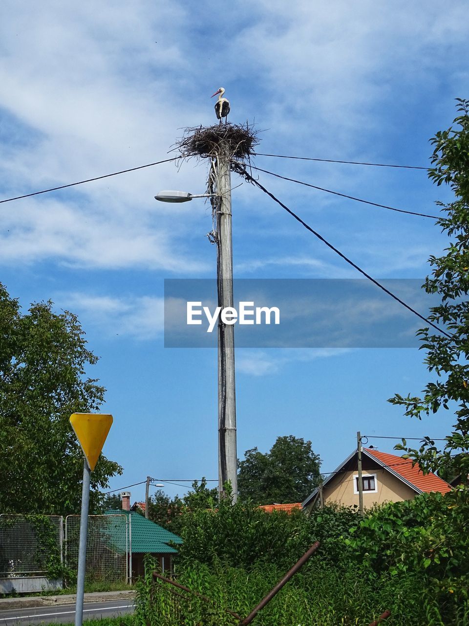 Low angle view of telephone pole by building against sky