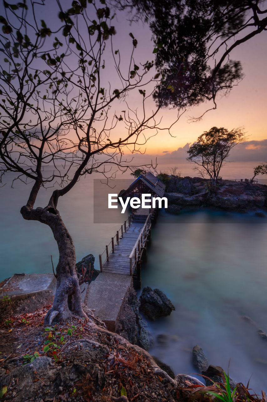 SCENIC VIEW OF BARE TREE AGAINST SKY