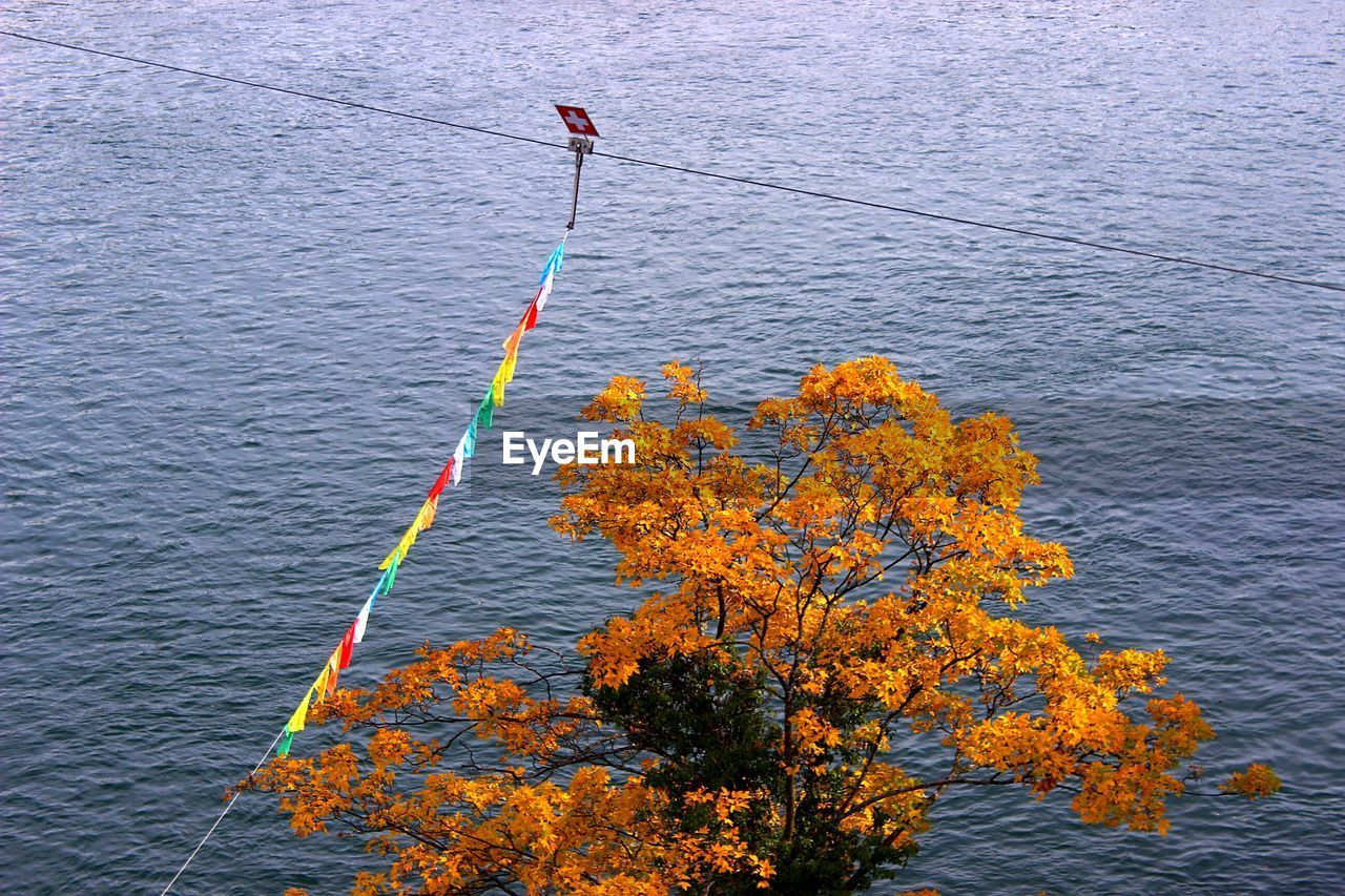 High angle view of swiss flag on autumn tree against sea