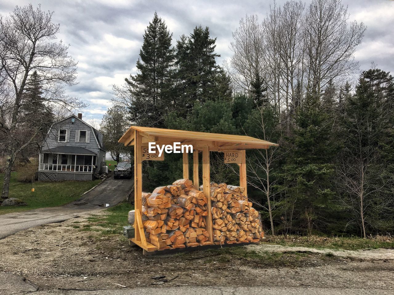 STACK OF LOGS IN PARK