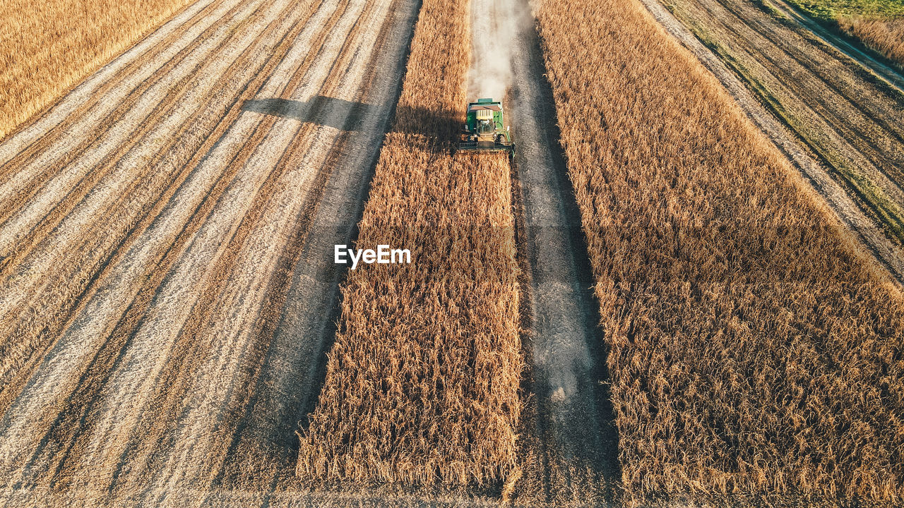 Aerial view of a combine harvester that collects wasps in the field