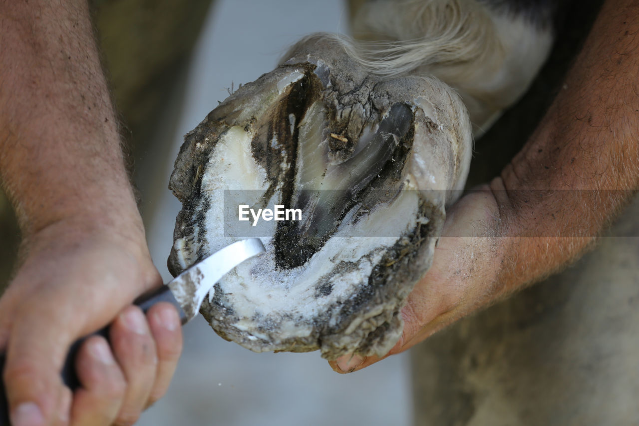 CLOSE-UP OF HANDS HOLDING ICE CREAM