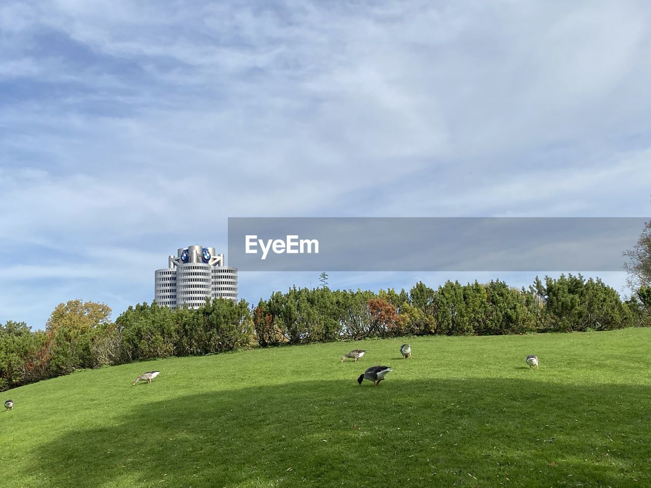 SCENIC VIEW OF FARM AGAINST SKY