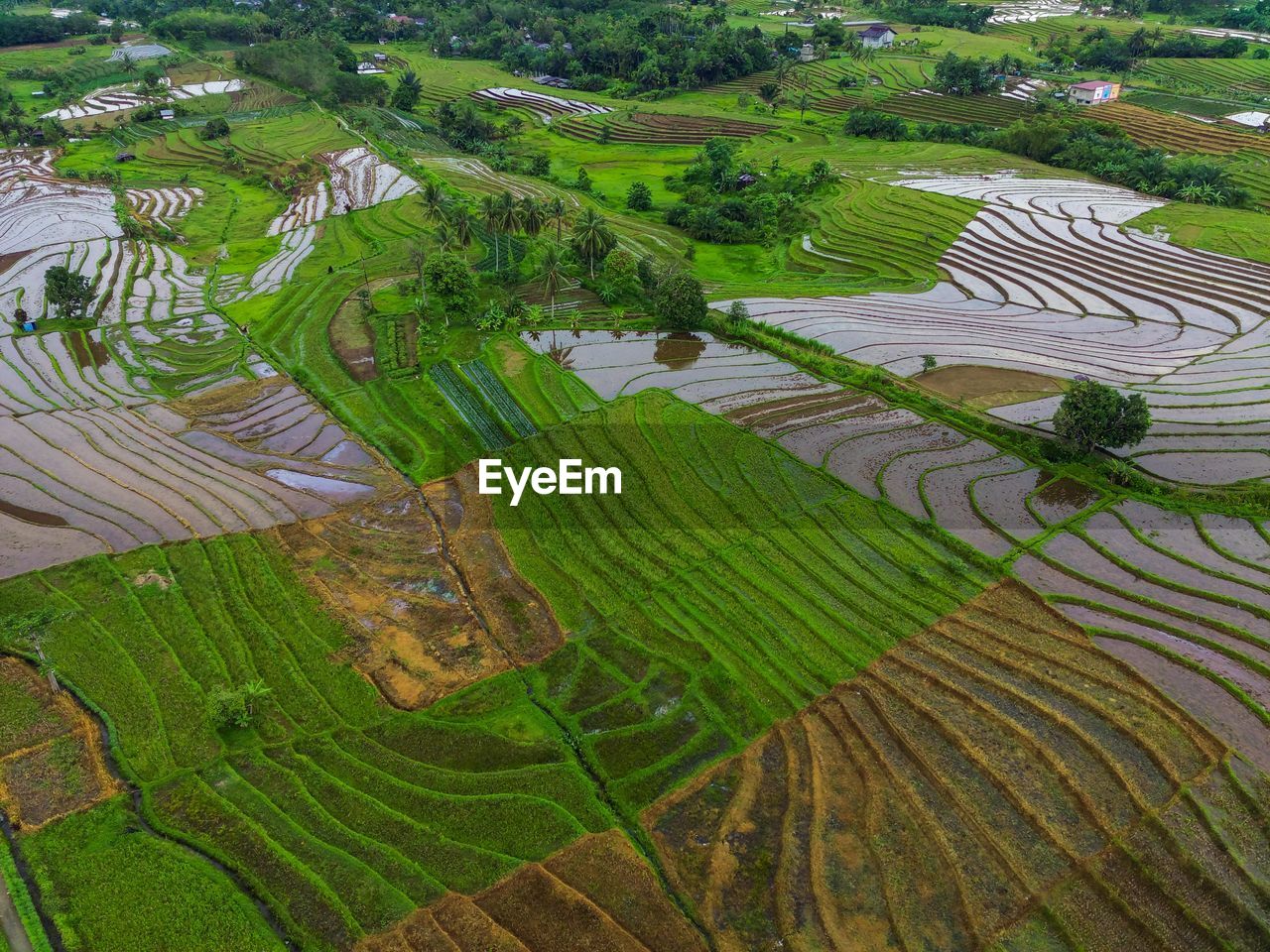 Aerial view beautiful morning view from indonesia about mountain and forest