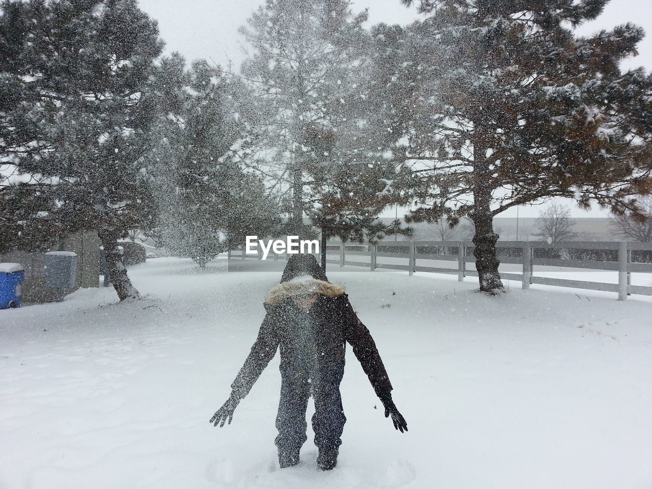 Rear view of person standing on snow covered field against trees