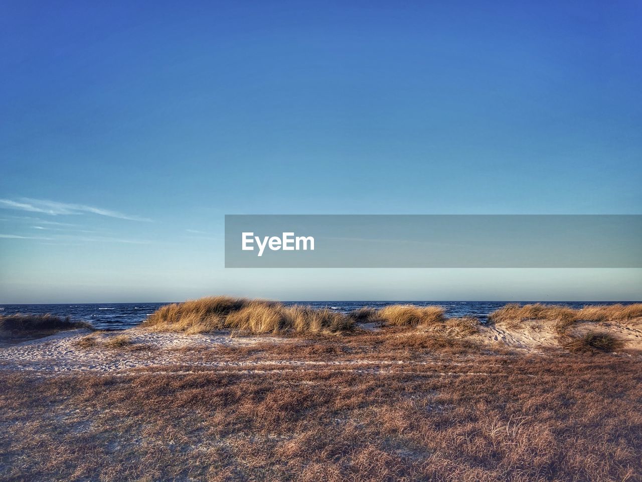 Scenic view of sea against clear blue sky