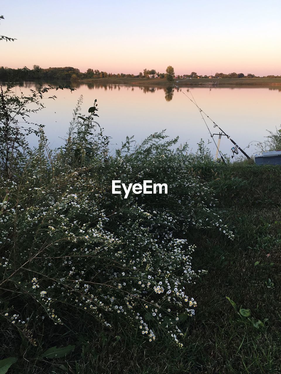 SCENIC VIEW OF LAKE BY TREES AGAINST SKY