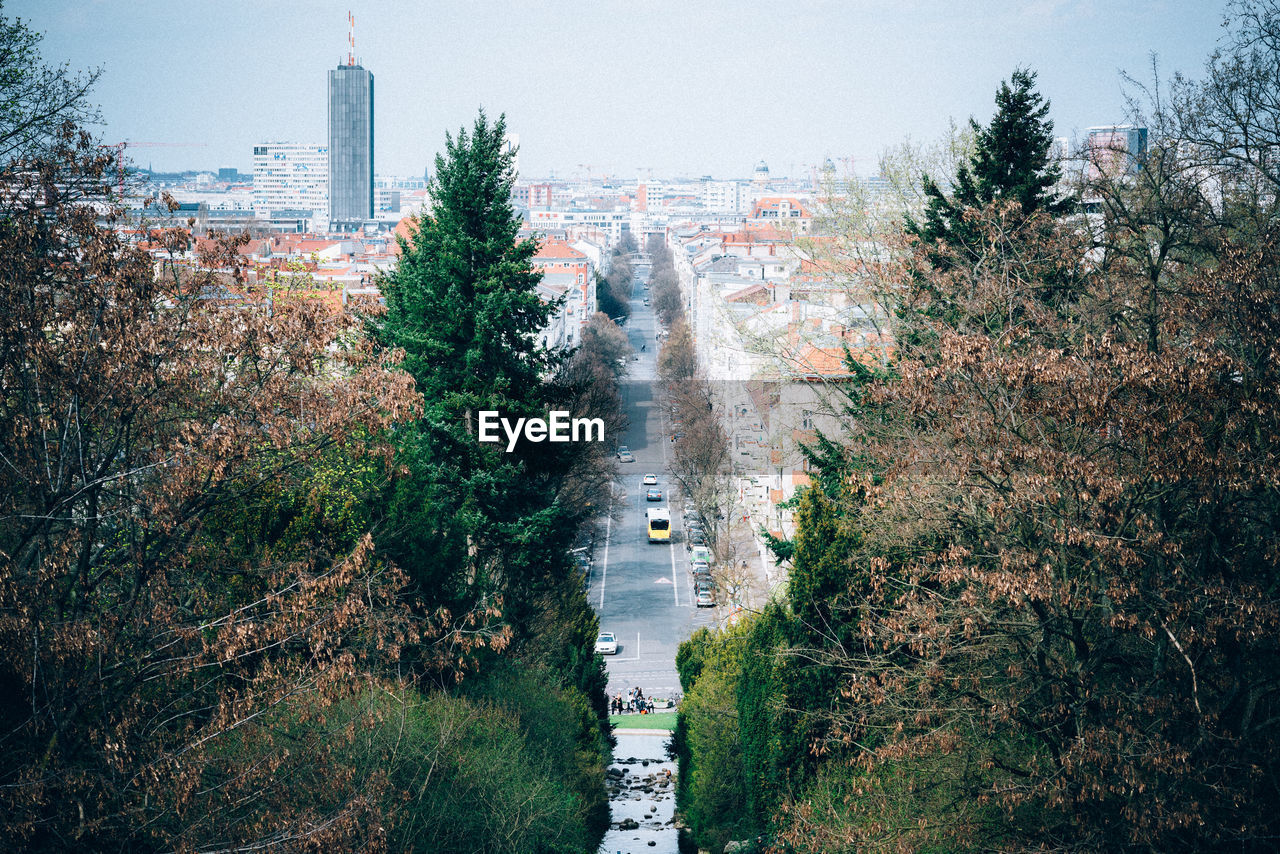 View of street in trees