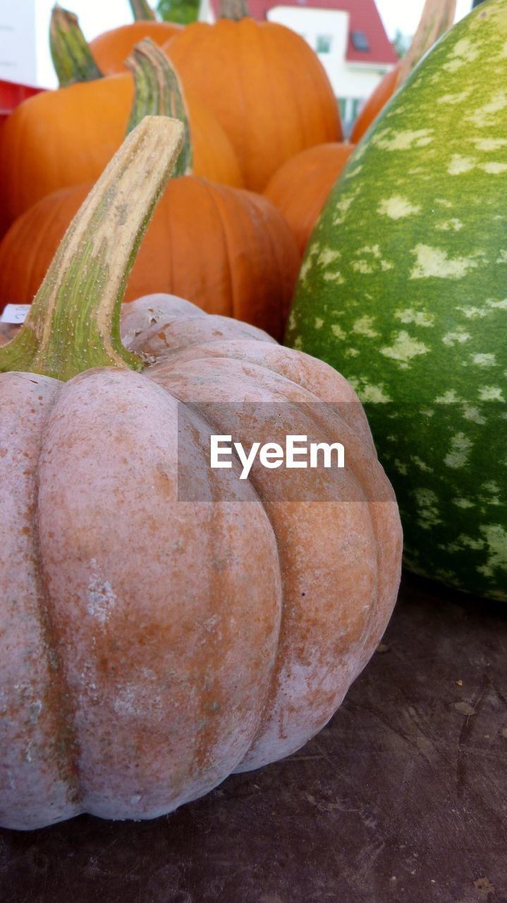 High angle view of pumpkin on table at market