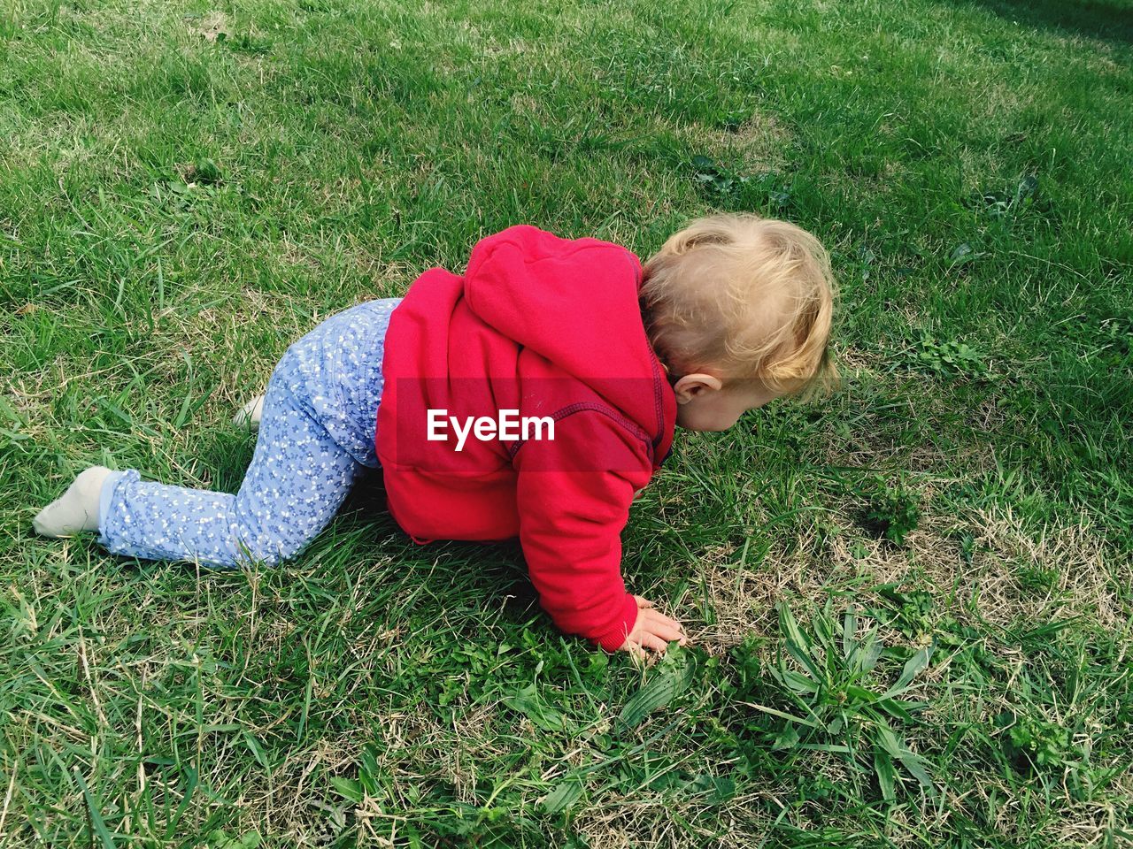 High angle view of baby crawling on grass at park