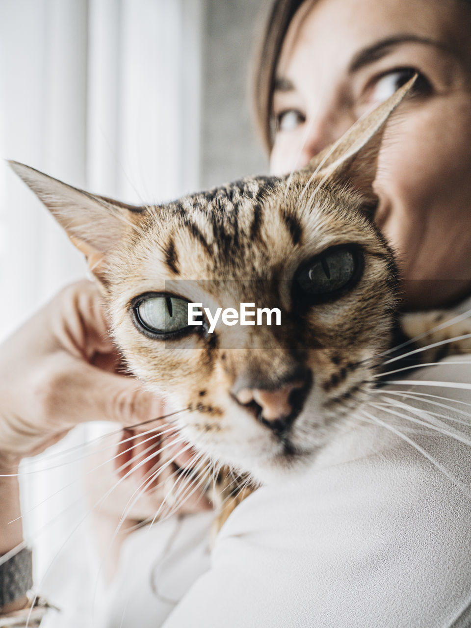 Close-up of woman carrying cat