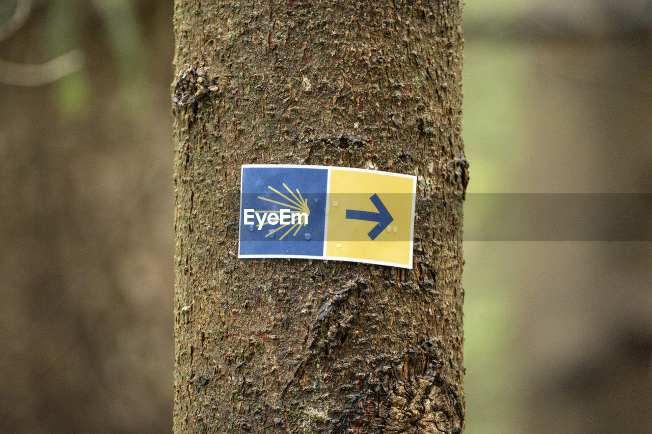 tree trunk, trunk, sign, nature, communication, tree, no people, symbol, day, focus on foreground, leaf, close-up, outdoors, guidance, arrow symbol, soil, green, plant, information sign, yellow