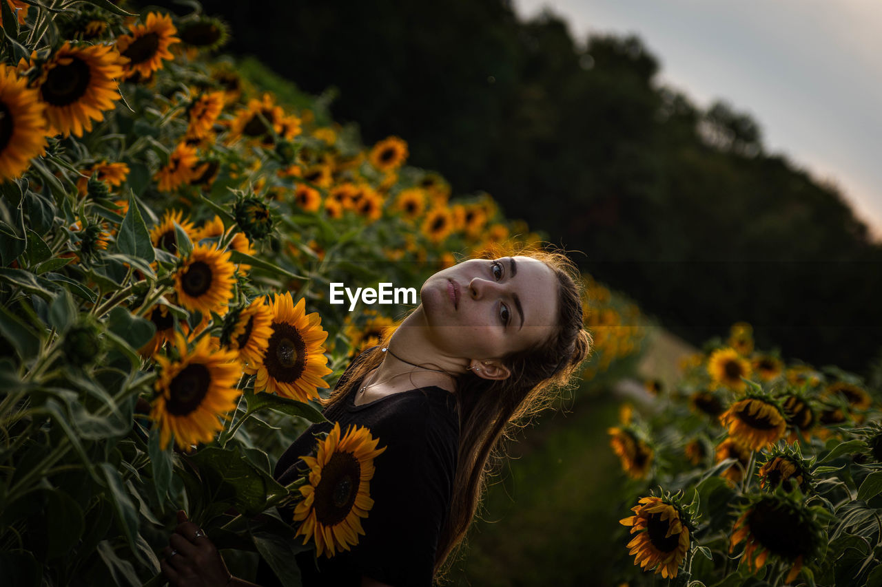 Portrait of young woman standing amidst sunflowers