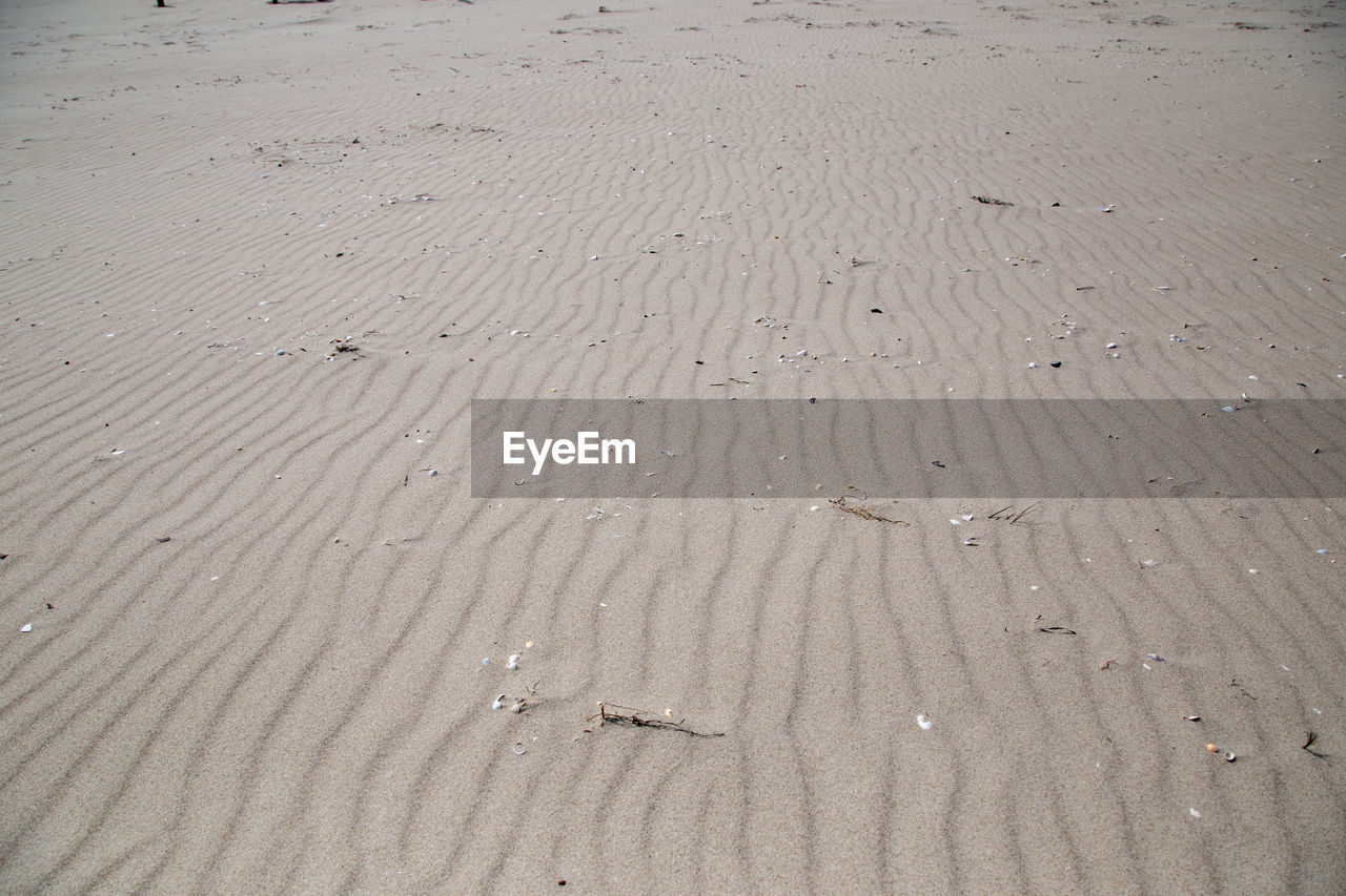 HIGH ANGLE VIEW OF FOOTPRINTS ON BEACH