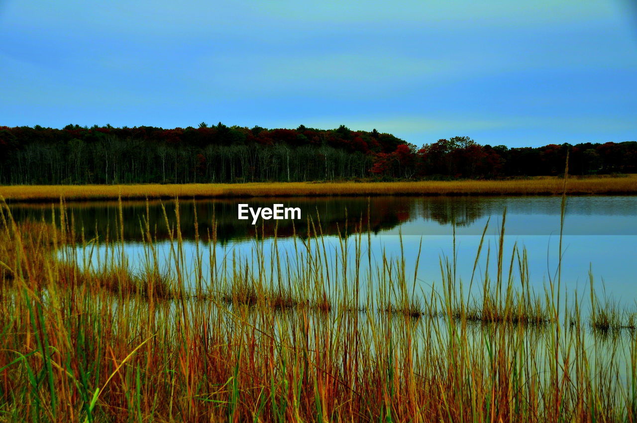 Scenic view of lake against sky