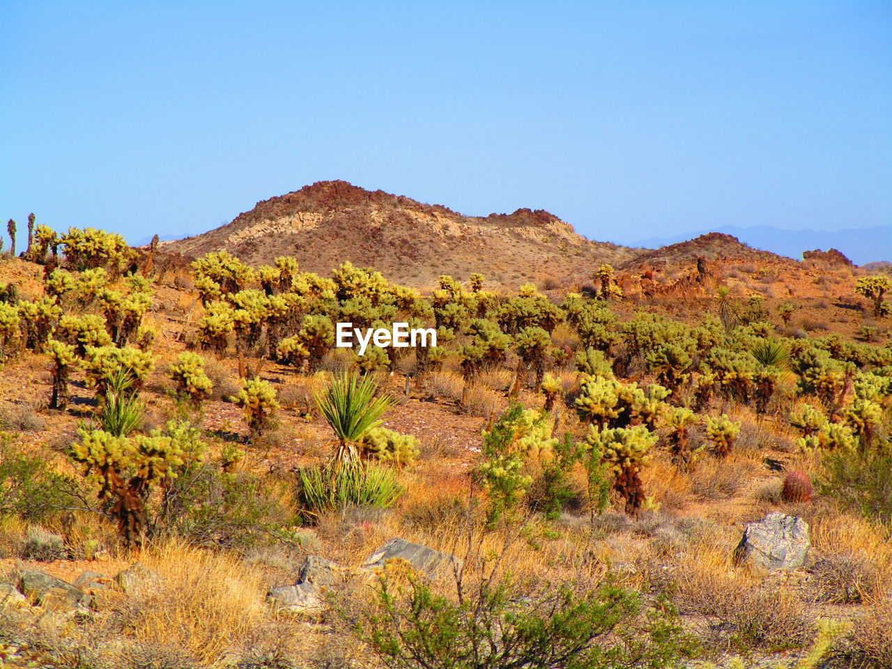 Scenic view of rocky mountains against clear sky