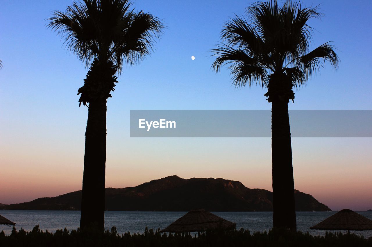 Silhouette palm trees against sky during sunset