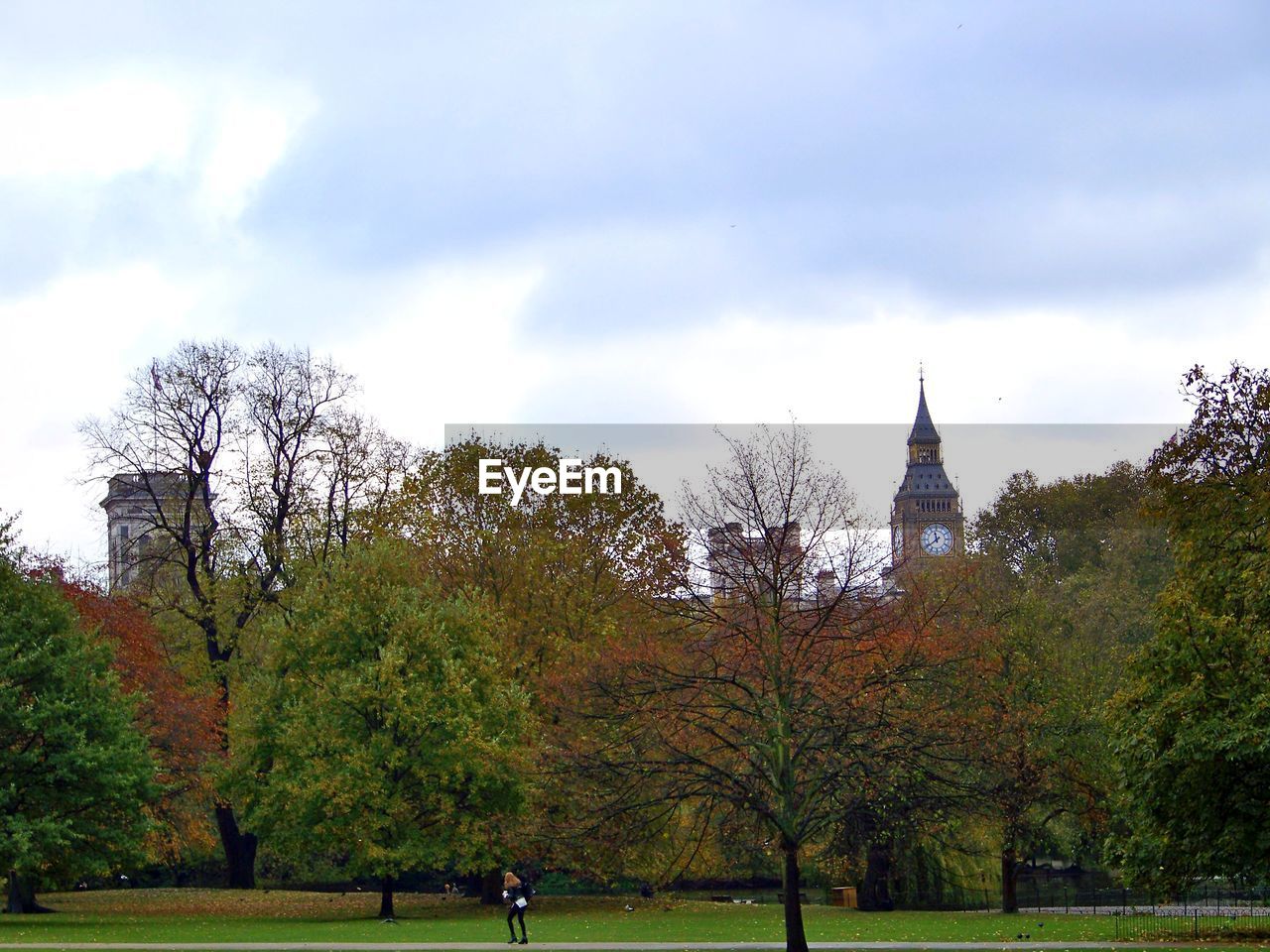 TREES IN PARK AGAINST SKY