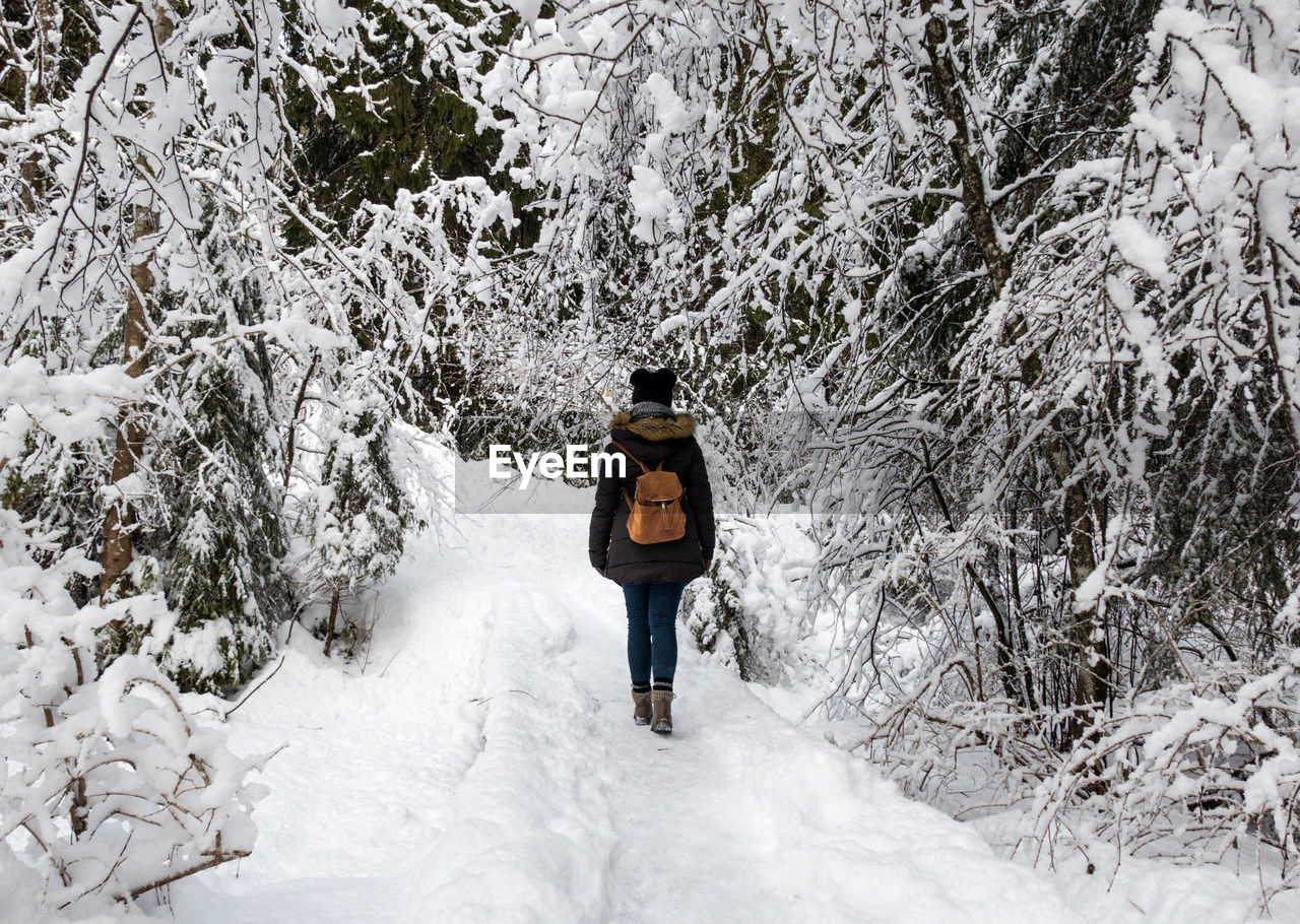 Rear view of young woman hiking in forest. winter, snow, path.