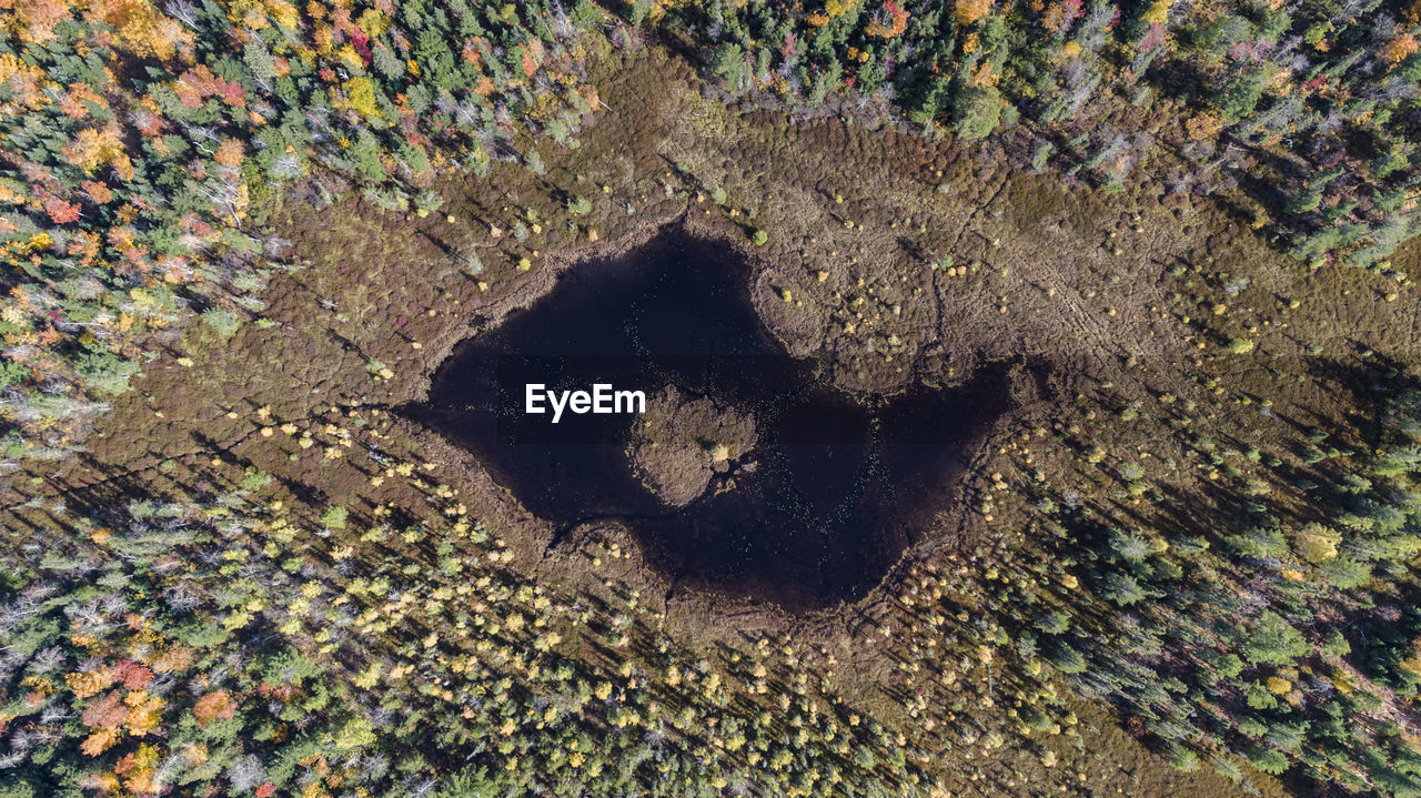 Aerial view of lake in forest during autumn