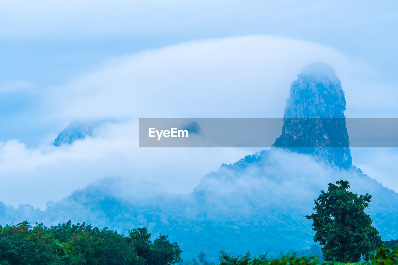 View of trees against cloudy sky