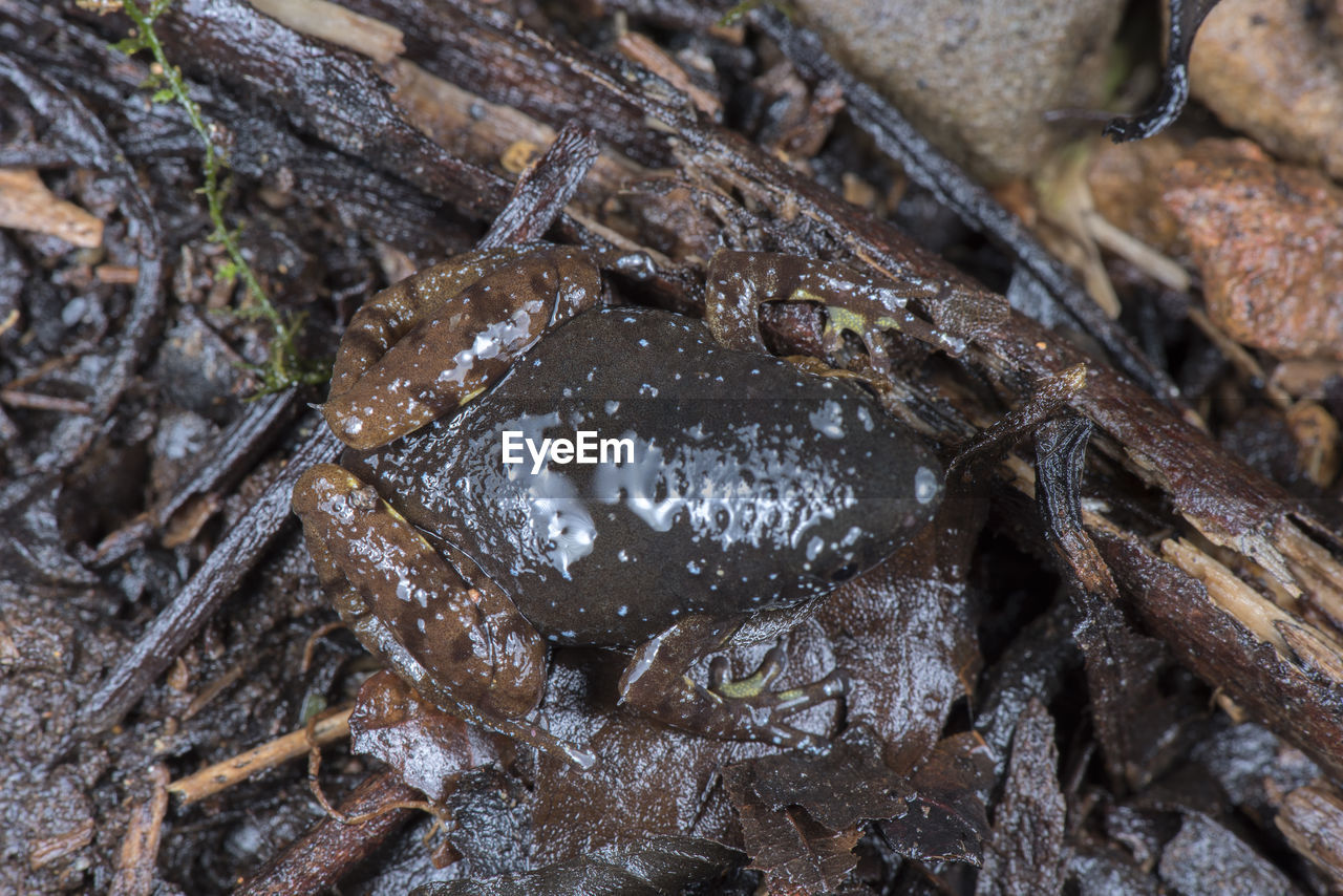 FULL FRAME SHOT OF WATER