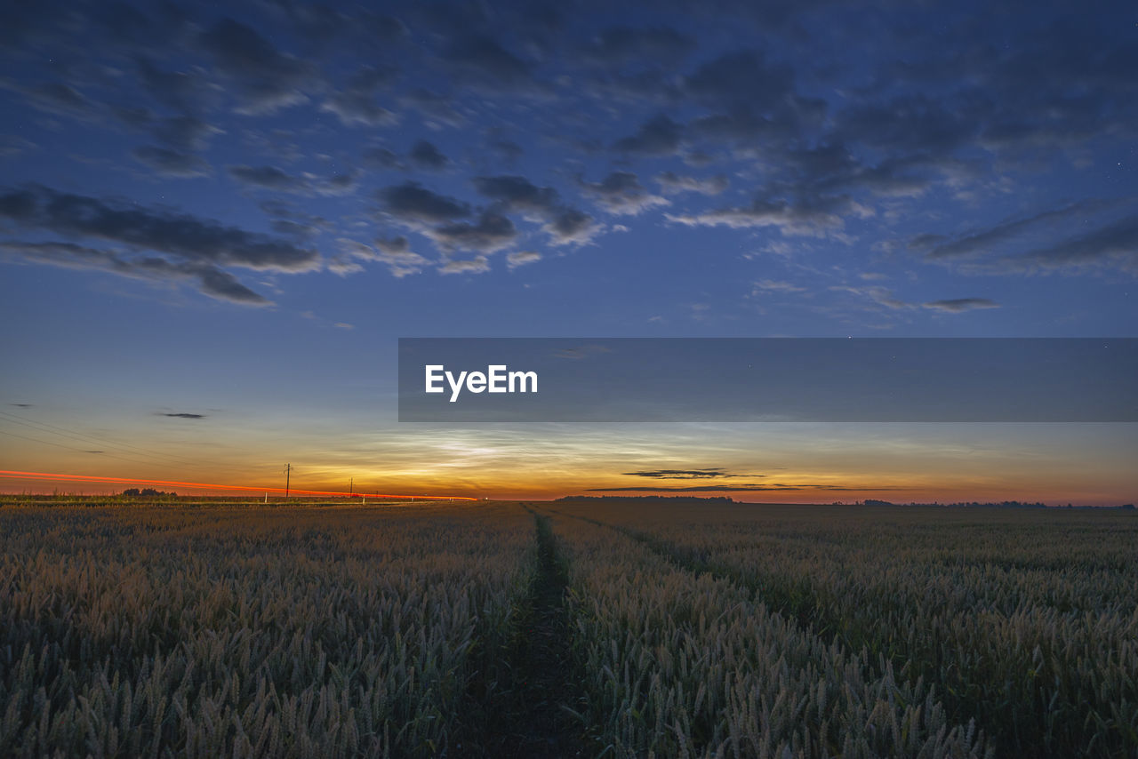 SCENIC VIEW OF FIELD AGAINST SKY AT SUNSET